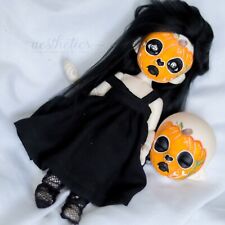 Pukifee ante pumpkin for sale  UK