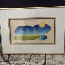 Misha moracha trees for sale  Broomfield