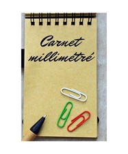 Carnet millimétré spécifiqu gebraucht kaufen  Trebbin