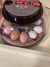 Egg incubator automatic for sale  Walnut Grove