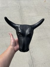 Roping steer head for sale  Alma