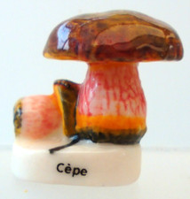 Fève champignon cepe d'occasion  Cloyes-sur-le-Loir