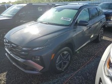 Lanterna traseira TUCSON 2025 1960013 comprar usado  Enviando para Brazil