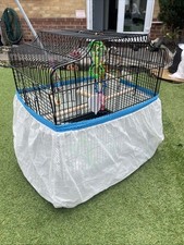 Large cage birds for sale  LUTON