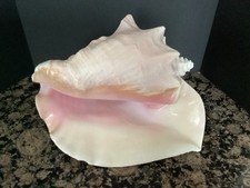 Large natural queen for sale  Cheyenne