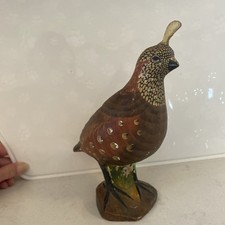 quail italian for sale quail italian for sale Sewell