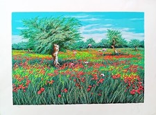 Franco azzinari 80x60 usato  Como