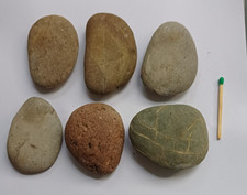 Kieselsteine fast flach gebraucht kaufen Kieselsteine fast flach gebraucht kaufen  Deutschland