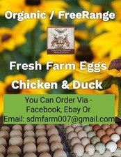 Gourmet organic freerange for sale  CULLOMPTON