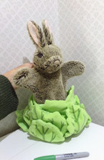 Spring bunny rabbit for sale Spring bunny rabbit for sale  AYLESFORD