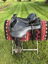 Colin dangaard bareback for sale  Henryville