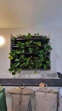 Blumenregal gebraucht kaufen  Rostock