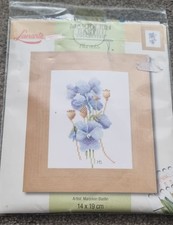 Blue violets marjolein for sale  SPALDING