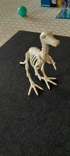 Dinosaure squelette expedition d'occasion  Wervicq-Sud