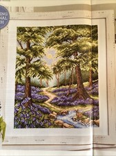 Woodland wonder bluebell for sale  LEICESTER