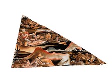 Western cowboy bandanna for sale  Norfolk