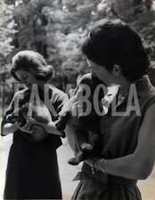 Vintage animali cuccioli usato  Roma