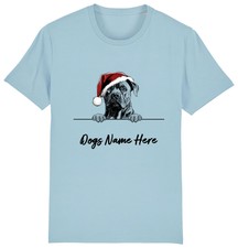 Cane corso personalised for sale  PONTYPRIDD