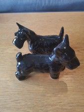 Pair scottish terriers for sale  GLOUCESTER