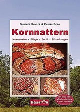 Kornnattern gebraucht kaufen Kornnattern gebraucht kaufen  Berlin