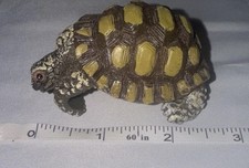 African spurred tortoise for sale  Minneapolis