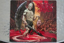 suicidal angels gebraucht kaufen suicidal angels gebraucht kaufen Pulheim