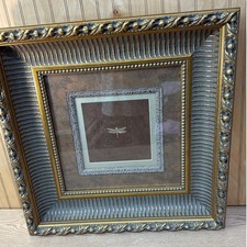Dragonfly framed art for sale  Double Springs