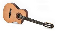 Sigma chitarra guitar usato  Spedire a Italy