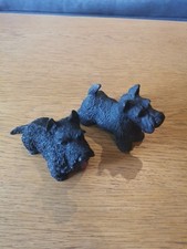 Pair scottish terriers for sale  GLOUCESTER
