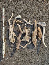 Pre soaked driftwood for sale  Port Byron