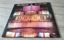 Vinile joe walsh usato  Carrara
