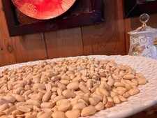 Raw jumbo blanched for sale  Hackettstown