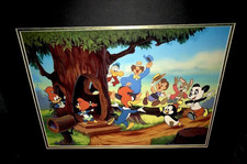 Woody woodpecker cel for sale  New Haven