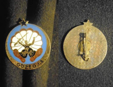 Insigne militaire 602 d'occasion Insigne militaire 602 d'occasion  Meung-sur-Loire