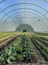 Bootstrap farmer 30x80 for sale  Springfield