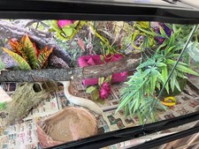 Reptile enclosure large for sale  Arlington