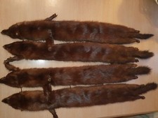 Nerzschal nerzkragen nerzstola gebraucht kaufen  Berlin