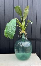 Large vintage bottle for sale  SUDBURY