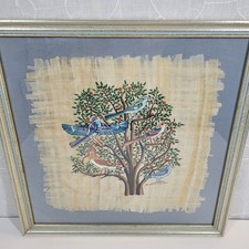 Egyptian papyrus tree for sale  Hudson