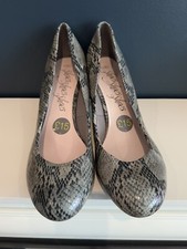 Grey black snake for sale  BELFAST