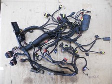 Evinrude etec 115 for sale  Hollywood