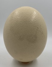 Genuine hatched blown for sale  ST. AUSTELL