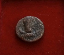 Caracalla 198 217. for sale  Ellicott City