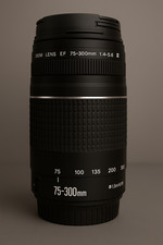 Canon 300 4 d'occasion  Montargis