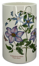 Portmeirion botanic garden for sale  USA