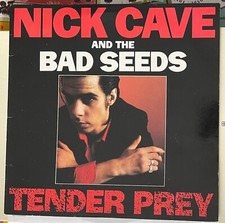 Nick cave the usato  Val Masino