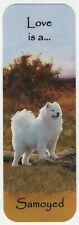 Samoyed beautiful dog for sale  COLEFORD