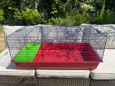 Rabbit guinea pig for sale  LONDON