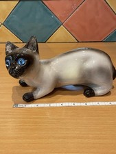 Adorable china siamese for sale  RICKMANSWORTH