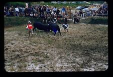 Usado, c1950 Naha Regatta Bulls Fighting Japan Red Boarder Kodachrome 10 comprar usado  Enviando para Brazil